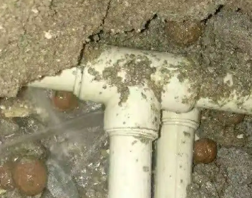 塔河测漏水多少钱