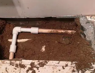 塔河测漏水哪家好