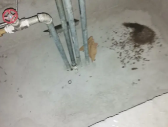 塔河卫生间测漏水价格明细