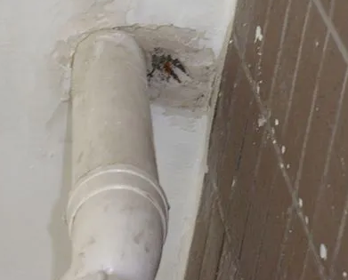 塔河漏水检测哪家好